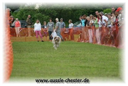Bild 058.jpg
