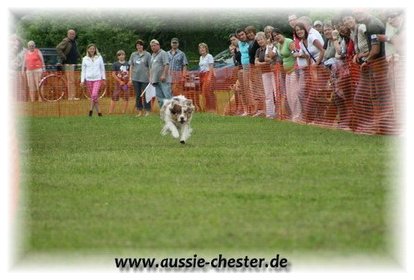 Bild 059.jpg