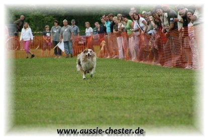 Bild 060.jpg