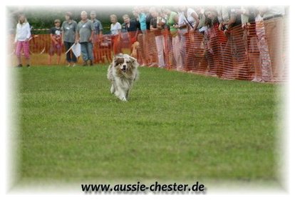 Bild 061.jpg