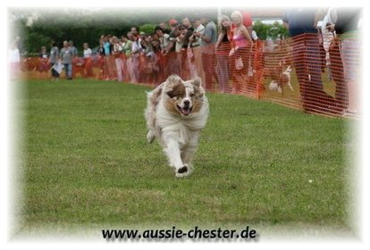 Bild 065.jpg