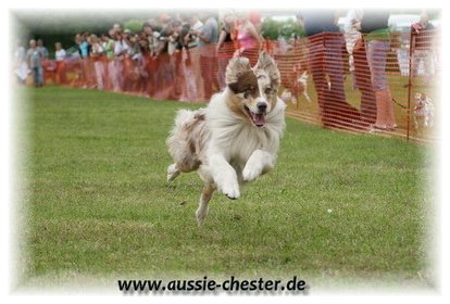 Bild 066.jpg