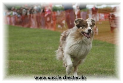 Bild 067.jpg