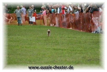 Bild 70.jpg