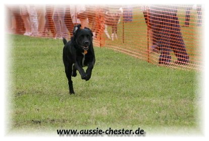 Bild 73.jpg
