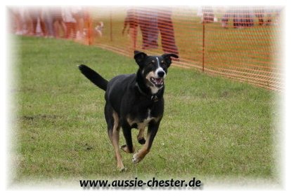 Bild 74.jpg