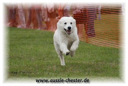 Bild 78.jpg