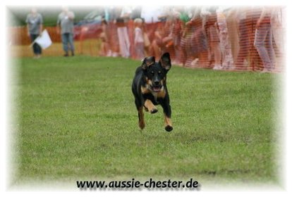 Bild 79.jpg