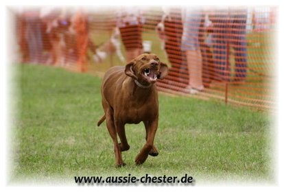 Bild 80.jpg